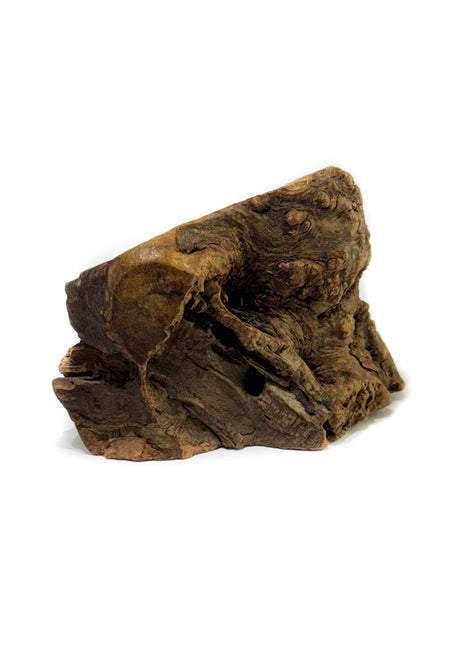 Korzeń wrzośca - naturalny gryzak dla psa